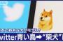 【画像】ツイッターがアイコンを日本の柴犬に変更ｗｗｗｗｗｗｗ