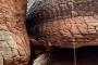 【画像】古代の大蛇が石化したと伝承されるタイの洞窟がヤバいｗｗ