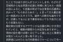 【悲報】慶應応援者さん、仙台育英の応援席に向かって「もうあきらめろ！」と野次っていたＷＷＷ