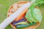 野菜の摂り方、未だによく分からない・・・・・・！！！！