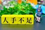 やたらと人手不足を叫ぶ業界って何で改善されないの？