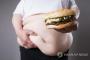 韓国人「米国が超高度肥満ランキング圧倒的1位の理由」