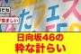 【ひなたフェス2024】日向坂46運営の粋な計らいがコチラ