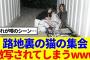 【櫻坂46】藤吉夏鈴と山下瞳月、路地裏でこっそり…