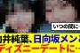 【櫻×日向】向井純葉、とある日向坂メンバーとディズニーデートに…