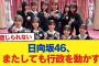 【朗報】日向坂46、またしても行政を動かす【日向坂46HOUSE】#日向坂46 #日向坂 #日向坂で会いましょう #乃木坂46 #櫻坂46