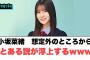 小坂菜緒想定外のところから、とある説が浮上www○大野愛実ちゃん絶賛されるww○松尾桜ちゃん憧れのメンバーを公言[日向坂46]