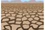 水の都ベネチア、記録的な干ばつで土の都になる [323057825]