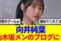 【櫻×乃木】向井純葉、あの乃木坂メンバーのブログに登場…