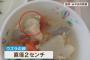 給食のうずらの卵を丸飲みして窒息死した男児の父親ら、市に6000万円の損害賠償を求めて提訴