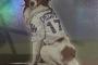 【画像】大谷翔平の飼い犬デコピン、遊戯王カードになってしまうｗｗｗｗｗｗｗｗｗｗ