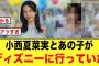 【激アツ】小西夏菜実があの子と、ディズニーデートしていた件【日向坂46】