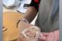 【画像】石川佳純さんが焼売を作る手つきｗｗｗｗｗｗｗｗｗｗ