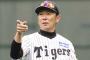 普通に森下が神だったけど3塁コーチ(秀太)は回したらアカンやろ