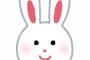 キティ好き←わかる マイメロ好き←まあわかる シナモン好き←まだわかる