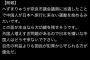【悲報】中国人「へずまりゅうが日本の議員に当選！？冗談じゃない！そんな国への旅行は避けるべし！」