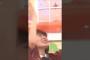 お出かけはしないさくちゃん #乃木坂46