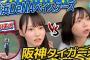 【始球式&プロ野球観戦】ベイ党vs虎党！熱き戦いに大興奮！【in横浜スタジアム】