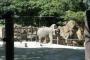 【衝撃】デンマークの動物園、来園者達に『とんでもない事』を言ってしまう・・・・