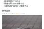 正しいほふく前進【再】