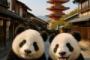 中国人「京都で最もオススメの観光地はどこ？」　中国人「中国では絶対に見られないのはここ」「鴨川の良さについて語る」