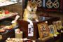 【店番する柴犬】犬『おう、らっしゃい。なんでも買ってくれ。』【画像】