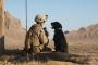 兵士「何ガン戦争だっけ？」犬「」