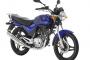 【中型】ネイキッド、SS、オフ車の中でどれがおすすめ？