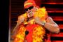 WWE、ハルク・ホーガンを解雇　人種差別発言が理由か