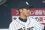 【朗報】能見ハーラートップタイ9勝目wwwwwwww