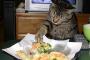私の分の食事を横から食べる旦那。外食でも家でもお構いなし。嫌だからやめてと言っても笑って取り合ってくれない