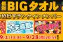 選抜総選挙ランクインメンバーの個別BIGタオルが発売！予約受付は9月28日まで！