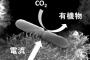電気エネルギーで生きる「電気合成」微生物の存在を初めて特定