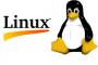 PCのOSがLinuxメインで使ってる奴いる？