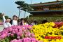 目を閉じたまま花を観賞するバ韓国の醜い子供たちwwwwww