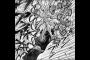 「刃牙」みたいなリアルな格闘漫画を教えてくれｗｗｗｗｗ（画像あり）