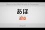 中国人「日本人ってバカなんだね、人を罵る言葉をつくれないなんて」