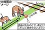 【画像】安全なシカ対策のイメージ