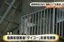 【廃棄カツ横流し】廃棄請負業者の責任者、連絡不能に　岐阜、三重でも流通確認