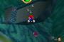 溺死マリオ６４「ぐっぐっぷ・・・・・」　ﾌｫｯﾌｫｯﾌｫｯﾌｫ