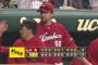 [2016/4/10]広8-7神 カープ福井今季初勝利！