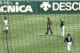 甲子園のレフトに謎の物体が落ちる