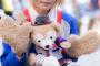 【画像】コスプレイヤー雪瀬ハルちゃんのディズニーベア「ダッフィー」の擬人化コスプレが可愛い！ ＃栄コスフェス
