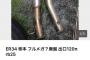【画像】オークションでマフラー出品したら児童ポルノ扱いされたんだがｗｗｗｗｗｗｗ