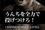 【便】「頼れるのはあなただけ」「今働いているの？正社員？」