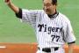 阪神ファンのここ数年の監督満足度ランキグンwwwwww