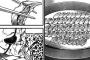 【刃牙道】114話感想　徳川と独歩が餃子食べて会話するだけとか料理漫画かな？