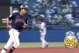 山田哲人 24号！ 今季初となるライト方向へのホームラン