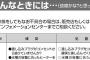 説明書「コンセントはささっていますか？」 彡(`)(´)「当たり前やろ！(ﾁﾗｯ」