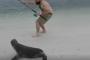 海外「アシカが『海の犬』であることが分かる姿をご覧くださいｗｗｗｗｗｗｗｗ」